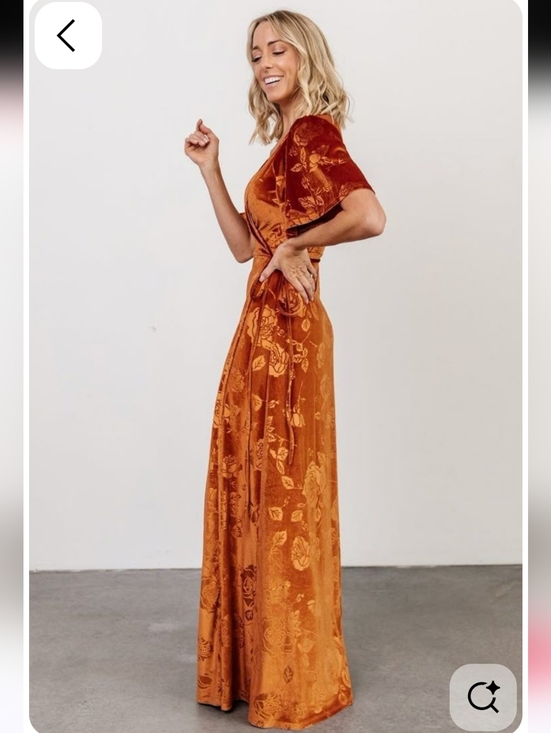 Baltic Born Dresses & Skirts - Baltic Born Danielle Embossed Velvet Maxi Dress in Rust Size L